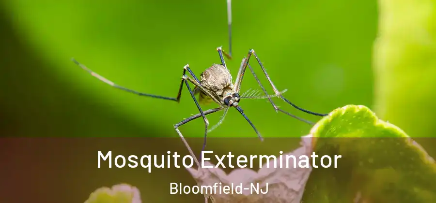  Mosquito Exterminator Bloomfield-NJ