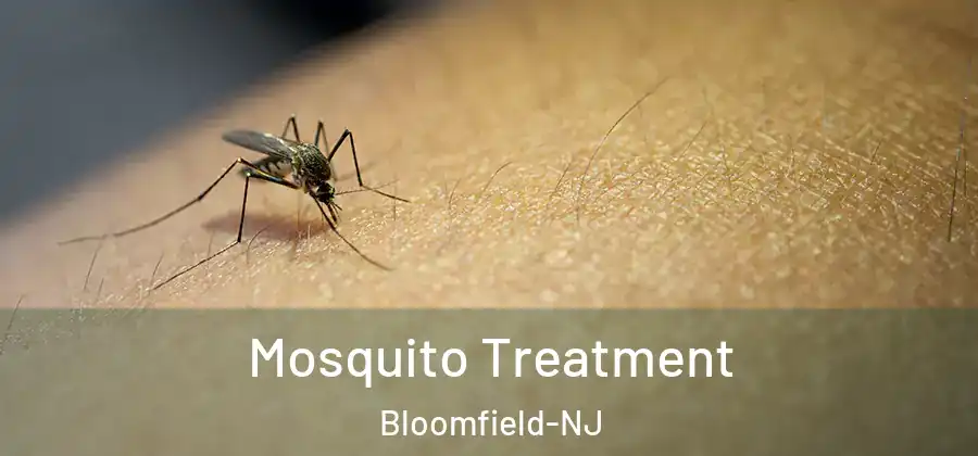  Mosquito Treatment Bloomfield-NJ