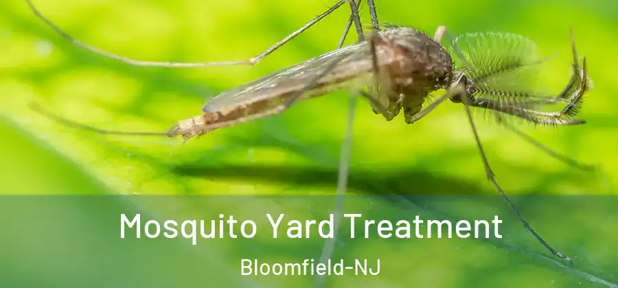 Mosquito Yard Treatment Bloomfield-NJ