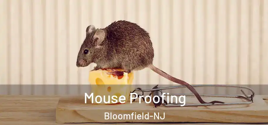 Mouse Proofing Bloomfield-NJ