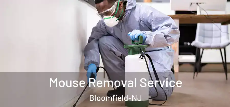 Mouse Removal Service Bloomfield-NJ