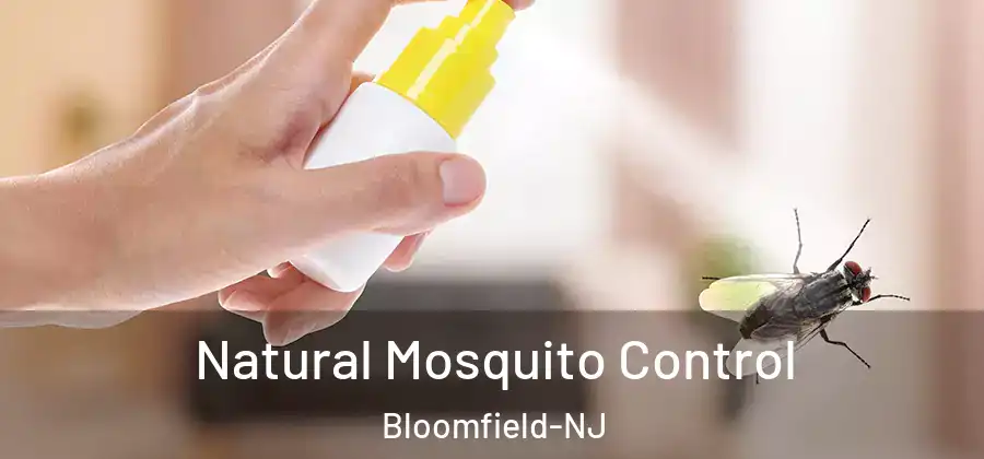 Natural Mosquito Control Bloomfield-NJ