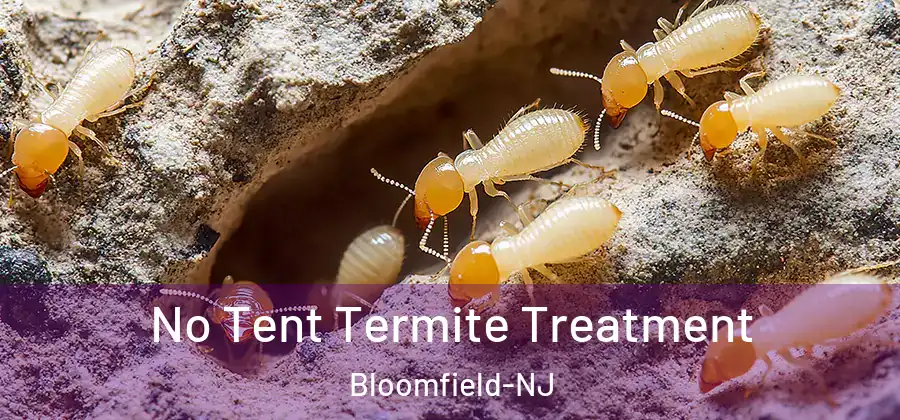  No Tent Termite Treatment Bloomfield-NJ