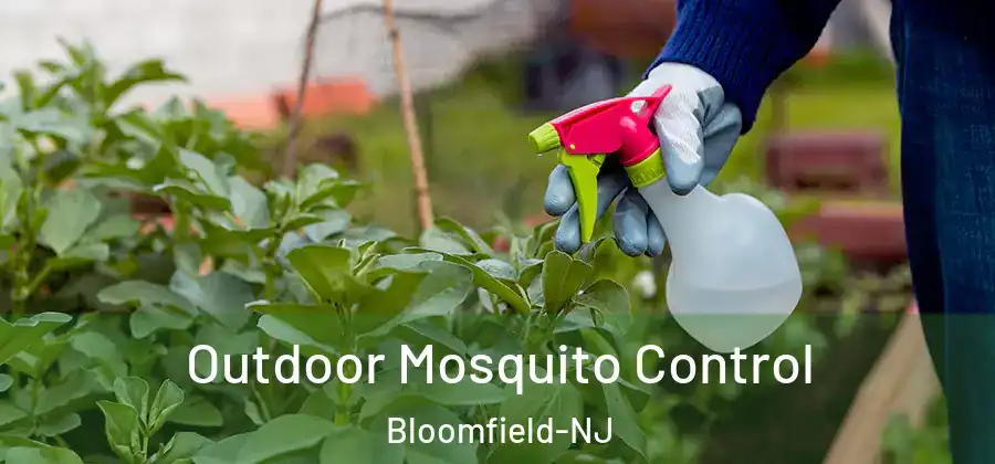 Outdoor Mosquito Control Bloomfield-NJ