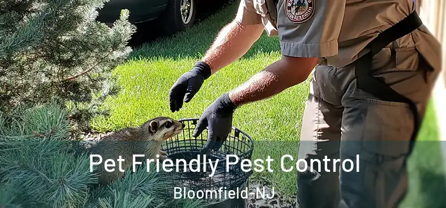  Pet Friendly Pest Control Bloomfield-NJ
