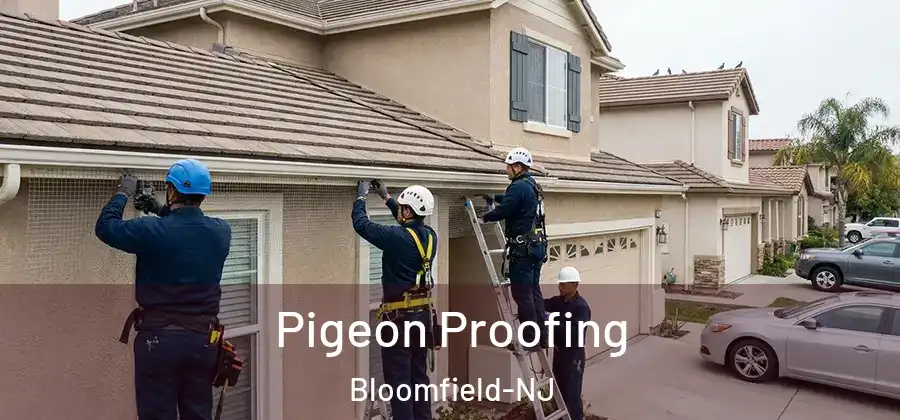 Pigeon Proofing Bloomfield-NJ
