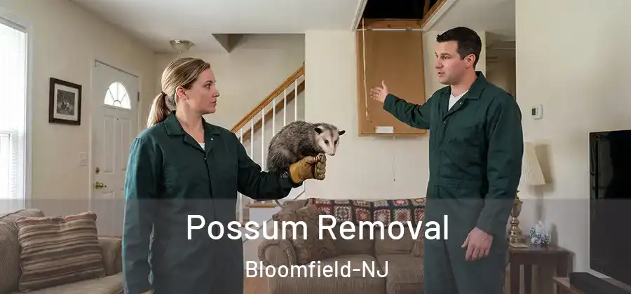  Possum Removal Bloomfield-NJ