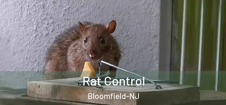Rat Control Bloomfield-NJ