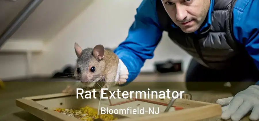 Rat Exterminator Bloomfield-NJ