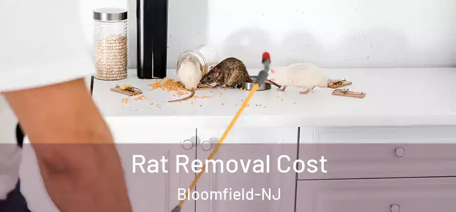 Rat Removal Cost Bloomfield-NJ