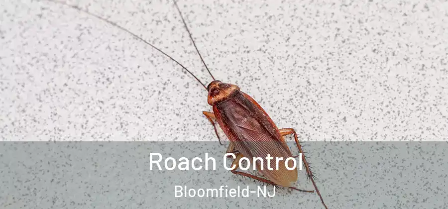  Roach Control Bloomfield-NJ