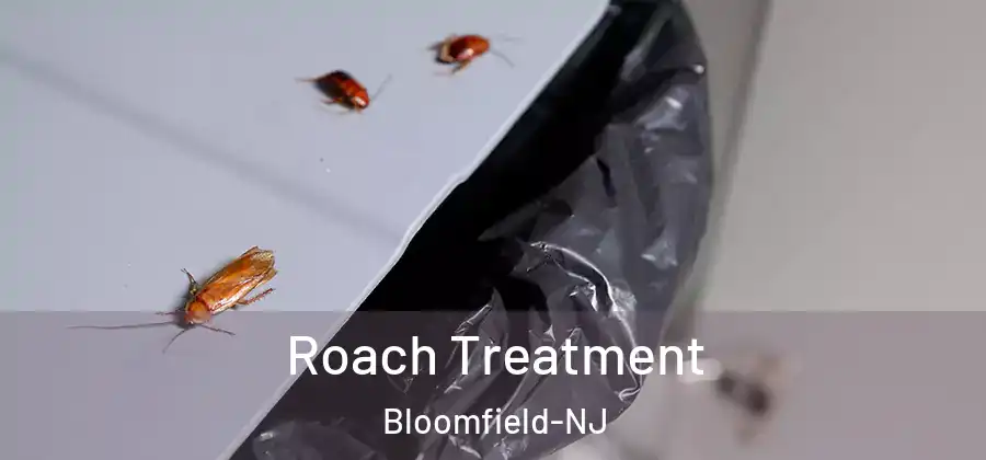 Roach Treatment Bloomfield-NJ