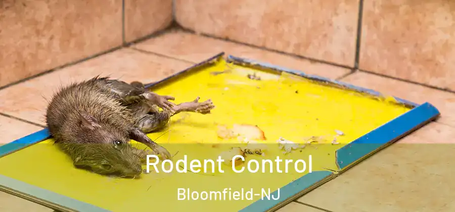 Rodent Control Bloomfield-NJ