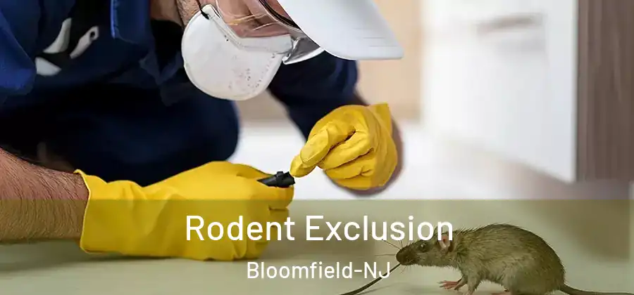  Rodent Exclusion Bloomfield-NJ