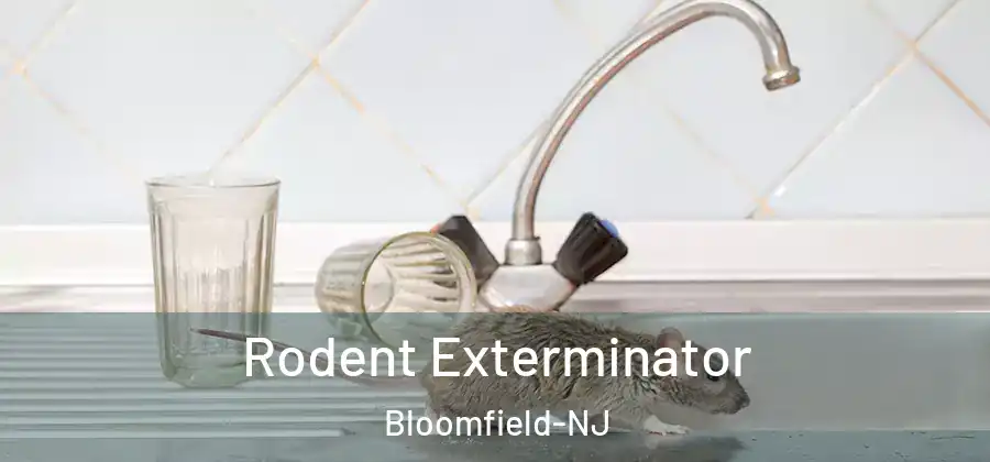 Rodent Exterminator Bloomfield-NJ