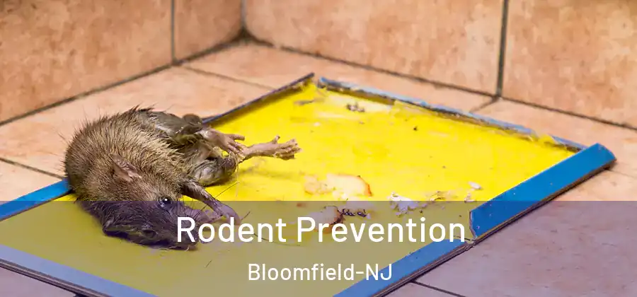 Rodent Prevention Bloomfield-NJ