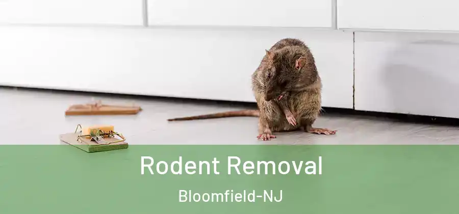 Rodent Removal Bloomfield-NJ