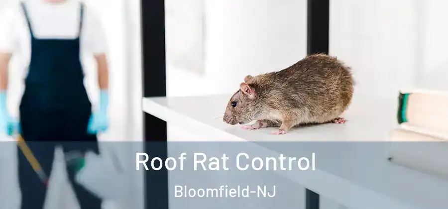  Roof Rat Control Bloomfield-NJ