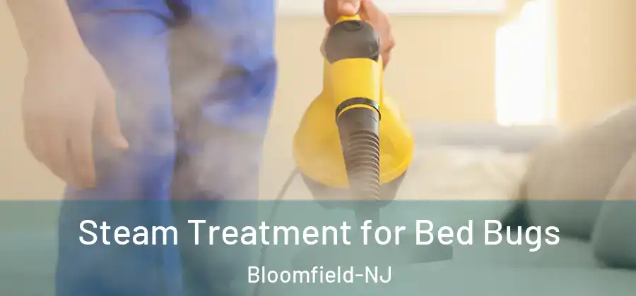 Steam Treatment for Bed Bugs Bloomfield-NJ