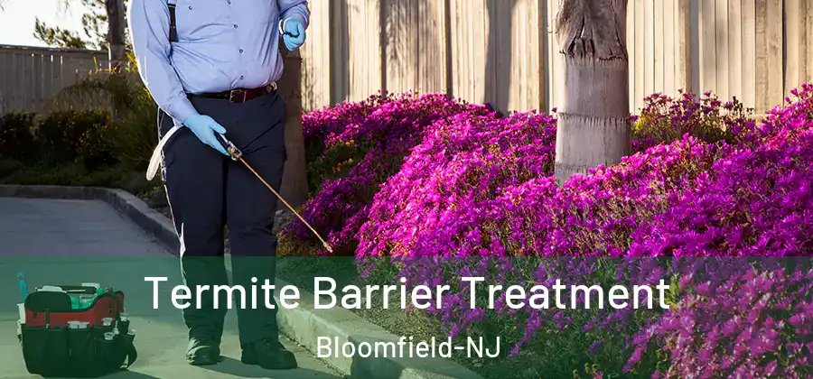  Termite Barrier Treatment Bloomfield-NJ