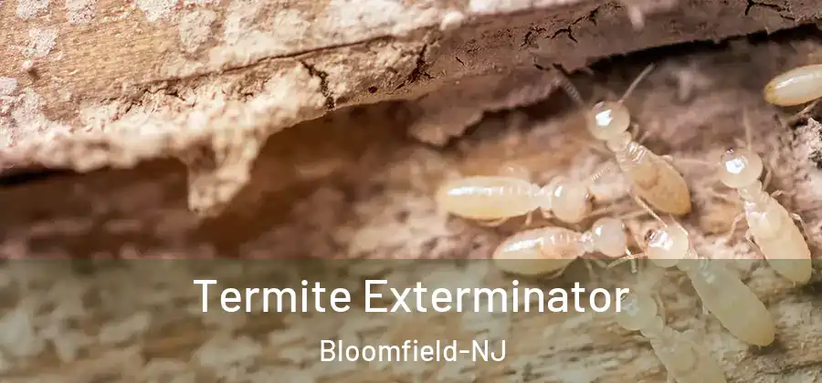 Termite Exterminator Bloomfield-NJ