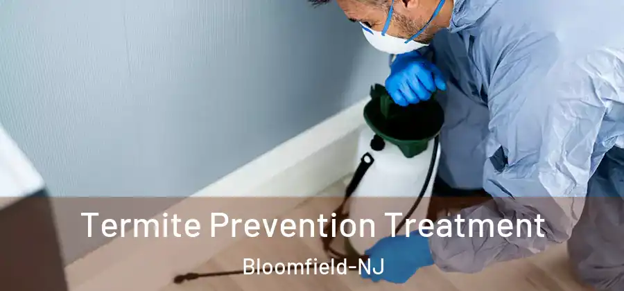  Termite Prevention Treatment Bloomfield-NJ