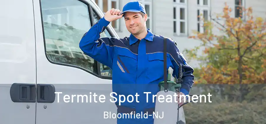  Termite Spot Treatment Bloomfield-NJ