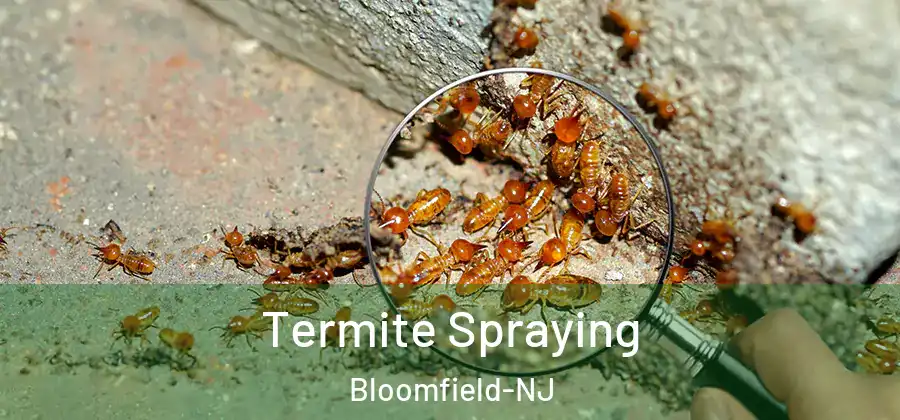Termite Spraying Bloomfield-NJ