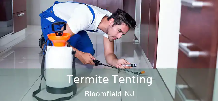 Termite Tenting Bloomfield-NJ