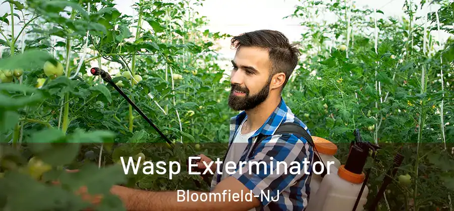 Wasp Exterminator Bloomfield-NJ