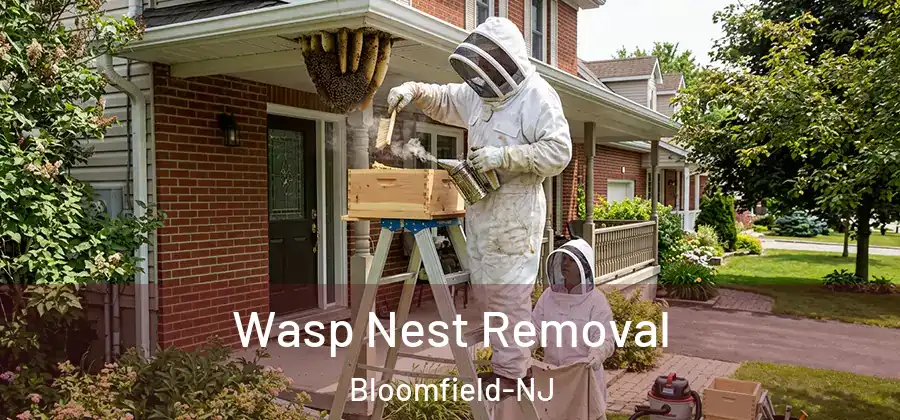 Wasp Nest Removal Bloomfield-NJ