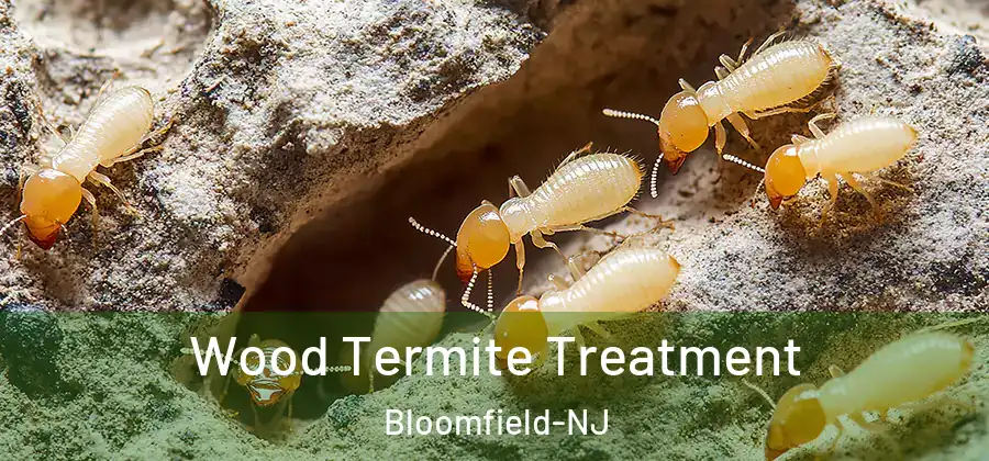 Wood Termite Treatment Bloomfield-NJ