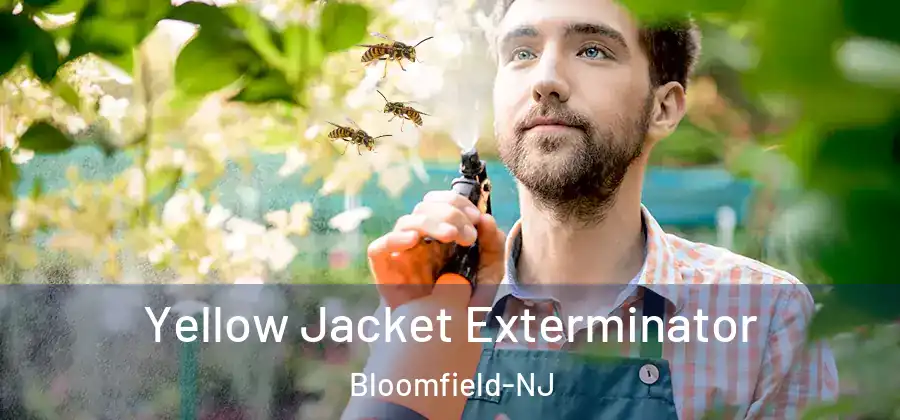 Yellow Jacket Exterminator Bloomfield-NJ